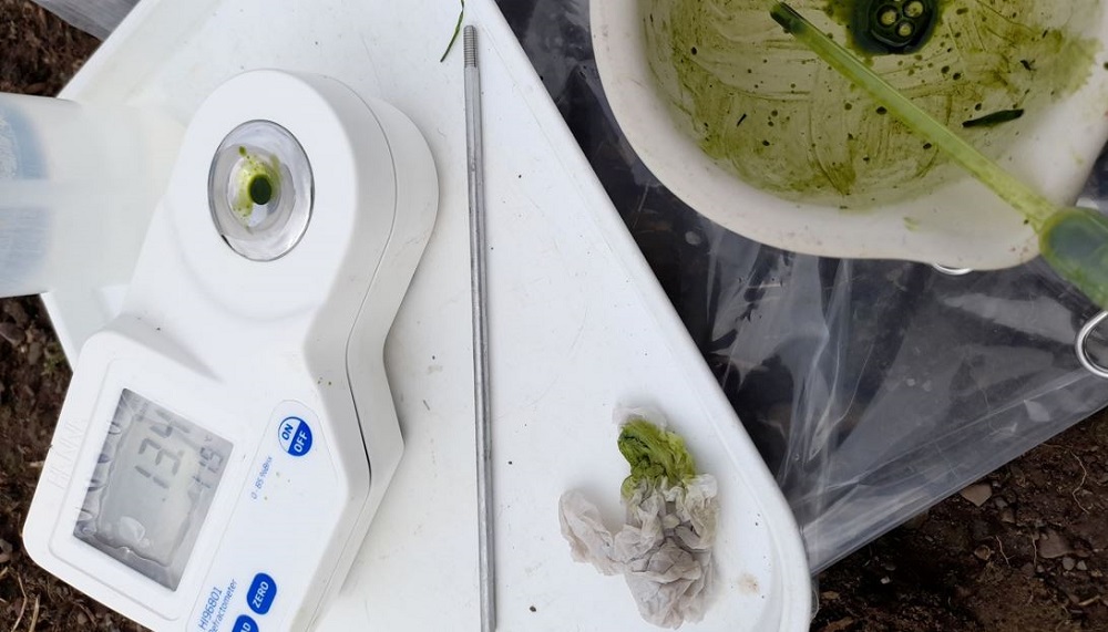 Brix refractometer in use at Balbirnie Home Farms